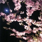 あおい